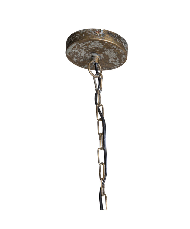 PTMD Moira Goud hanglamp met palm bladeren