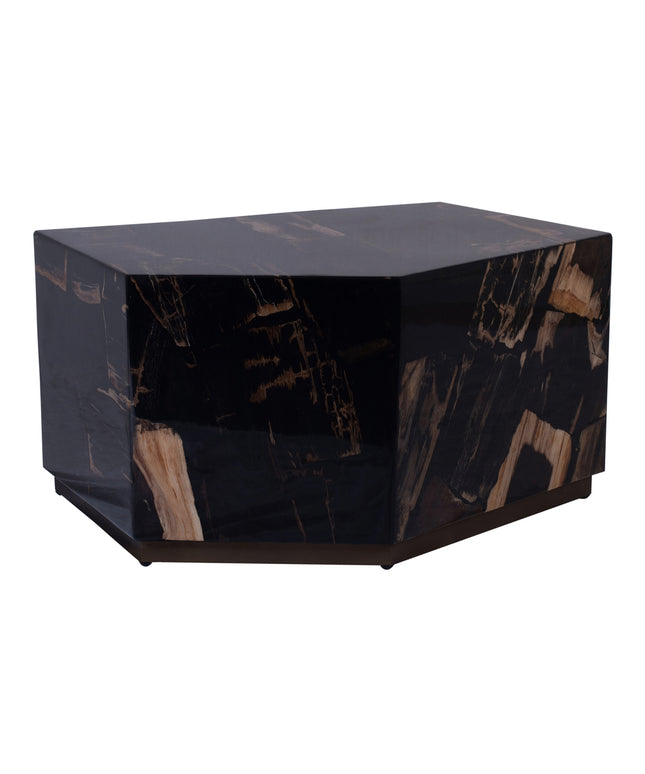 Rayn Petrified wood black coffeetable M