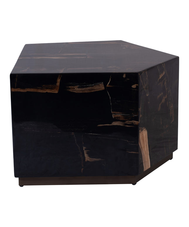 Rayn Petrified wood black coffeetable M
