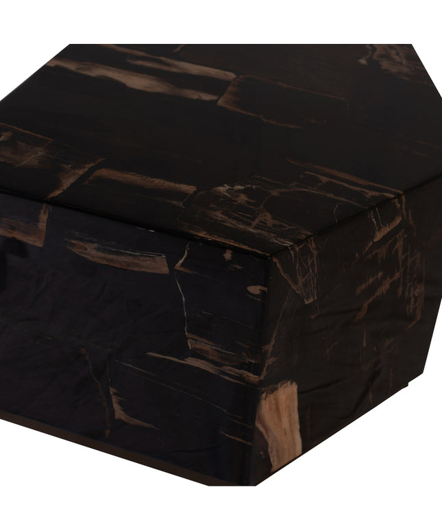 Rayn Petrified wood black coffeetable M