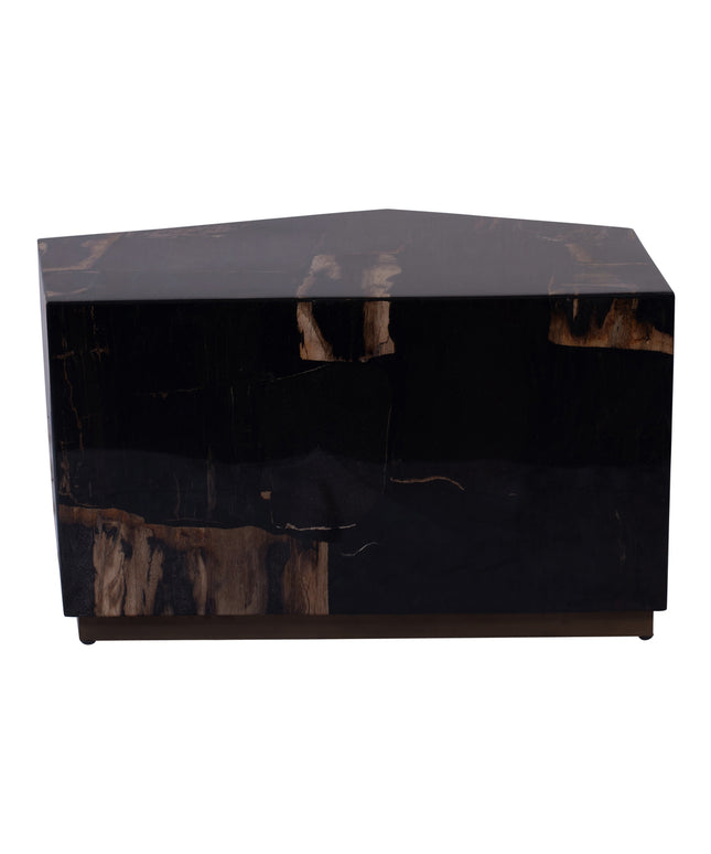 Rayn Petrified wood black coffeetable M