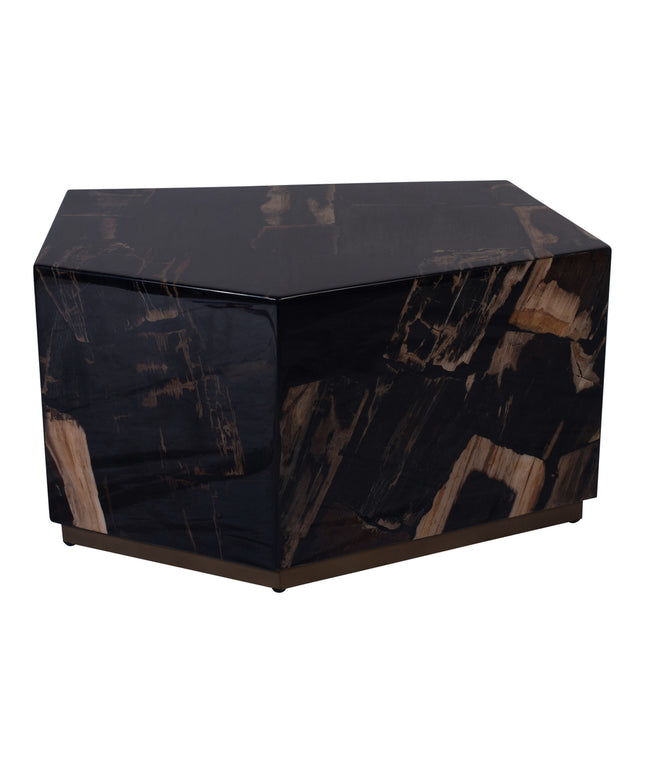 Rayn Petrified wood black coffeetable M