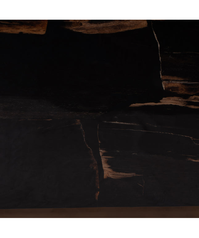 Rayn Petrified wood black coffeetable M