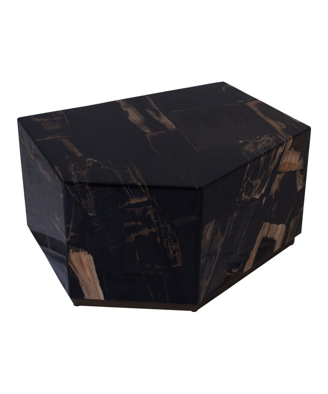 Rayn Petrified wood black coffeetable M